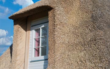 Shiphay thatch roof disadvantages